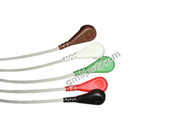 5-lead aha snap-.jpg